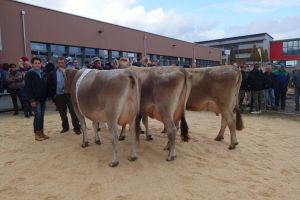 Misswahlen Egard ERIMA Anibal ADARA beide Fredy Zwyssig Whiskey WITRA Toni Muff